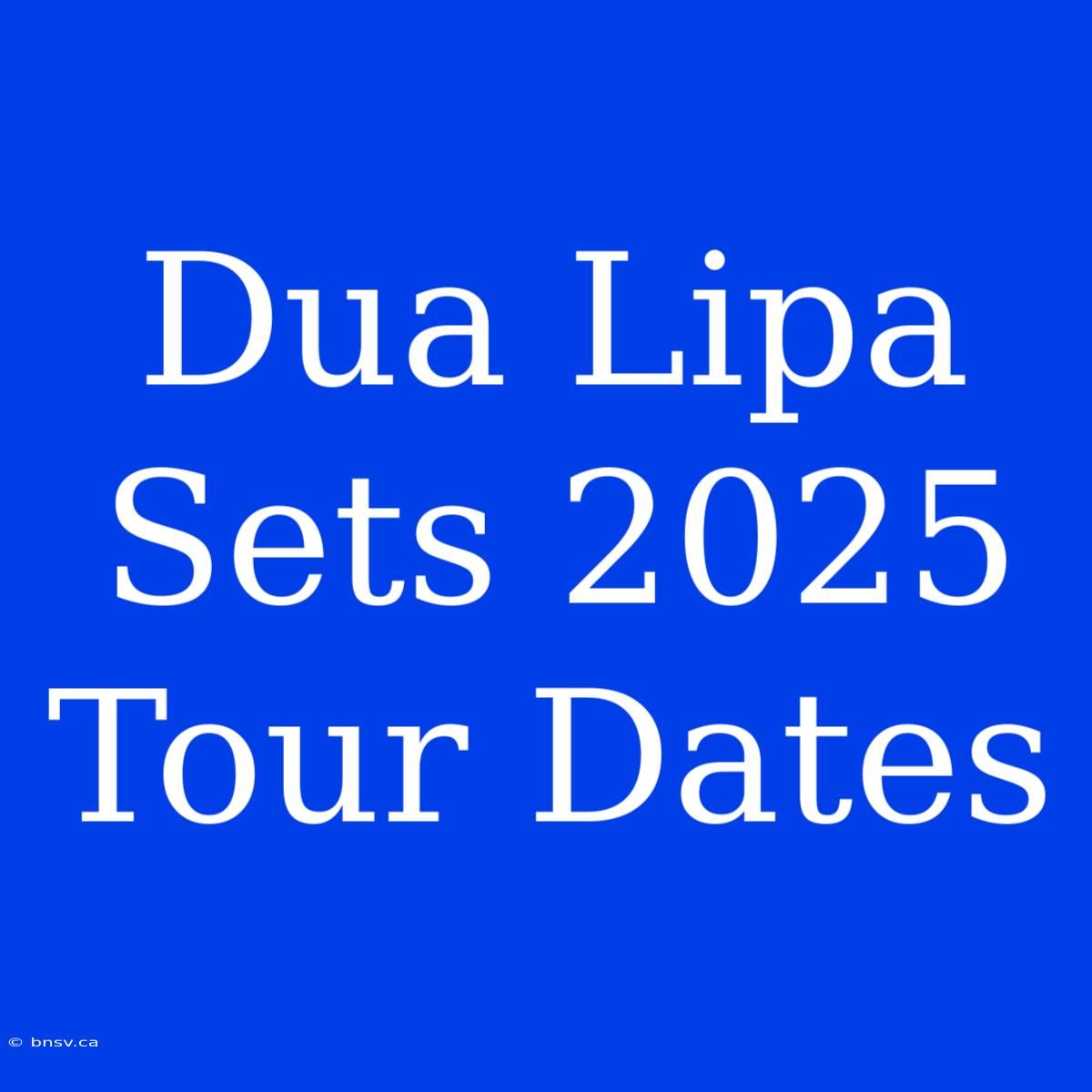 Dua Lipa Sets 2025 Tour Dates