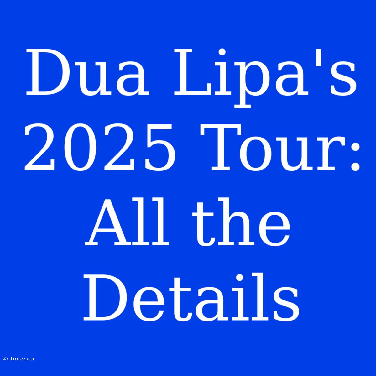 Dua Lipa's 2025 Tour: All The Details