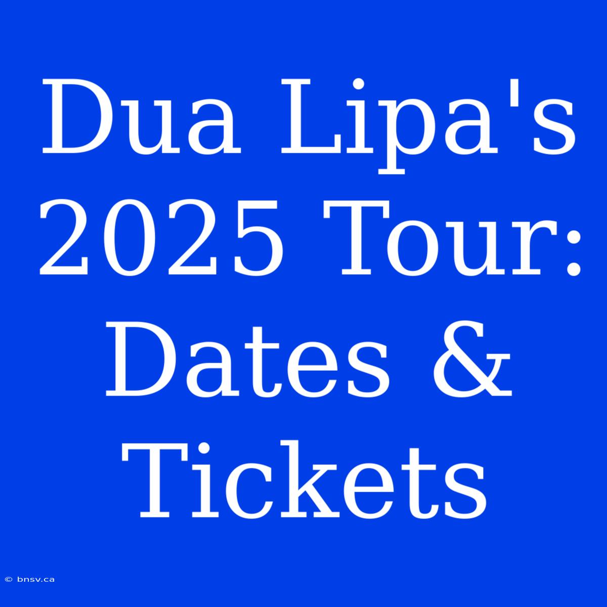 Dua Lipa's 2025 Tour: Dates & Tickets