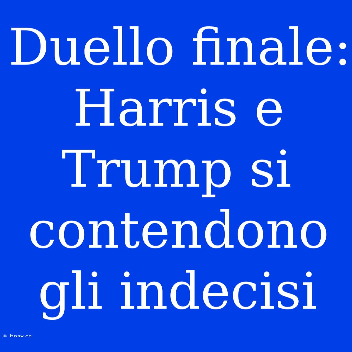 Duello Finale: Harris E Trump Si Contendono Gli Indecisi