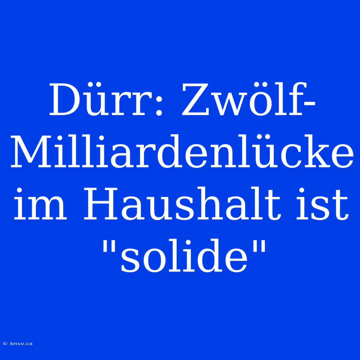 Dürr: Zwölf-Milliardenlücke Im Haushalt Ist 