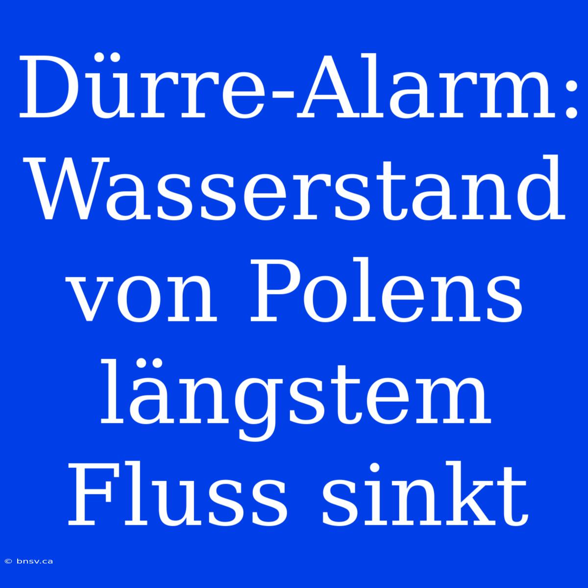 Dürre-Alarm: Wasserstand Von Polens Längstem Fluss Sinkt