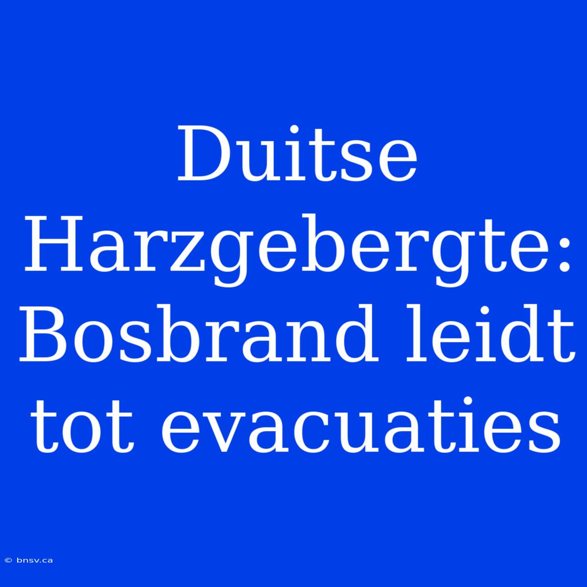 Duitse Harzgebergte: Bosbrand Leidt Tot Evacuaties