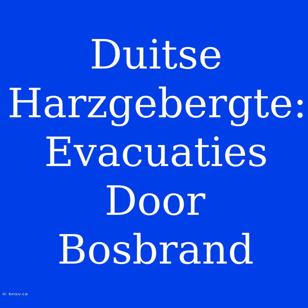 Duitse Harzgebergte: Evacuaties Door Bosbrand