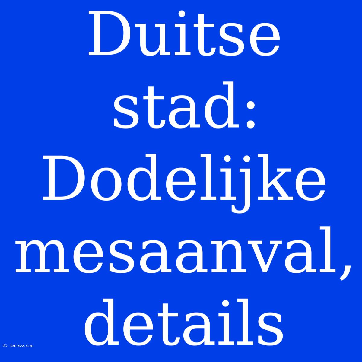 Duitse Stad: Dodelijke Mesaanval, Details