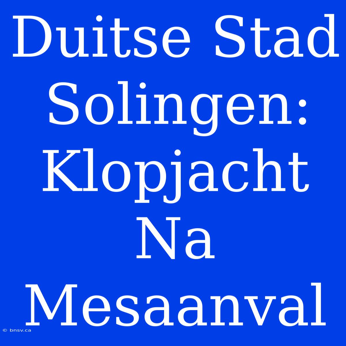 Duitse Stad Solingen: Klopjacht Na Mesaanval