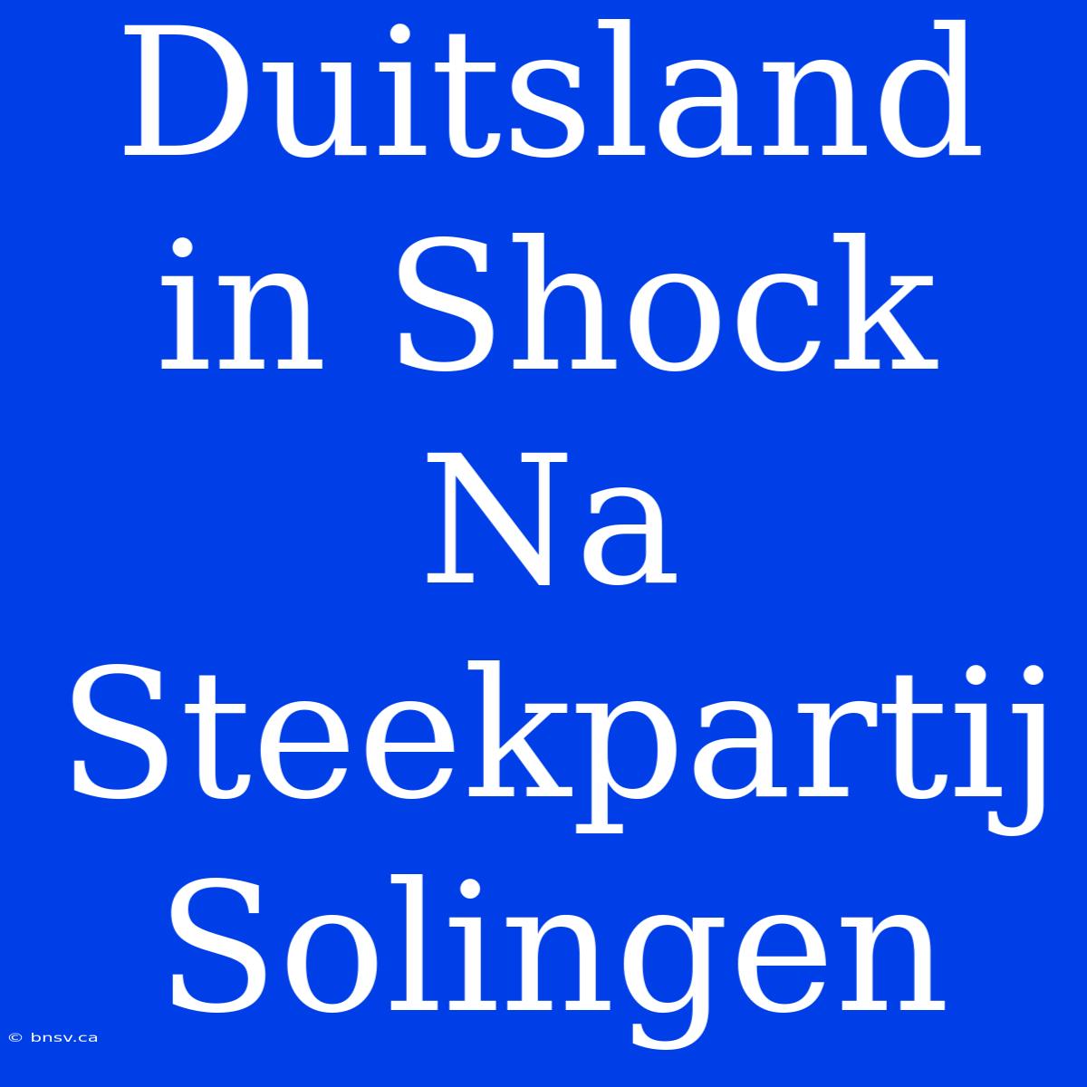 Duitsland In Shock Na Steekpartij Solingen