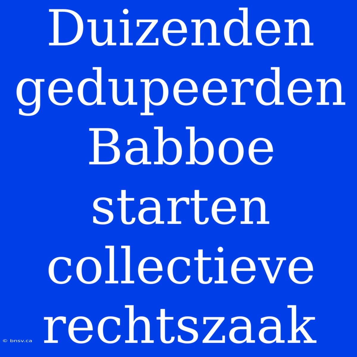 Duizenden Gedupeerden Babboe Starten Collectieve Rechtszaak