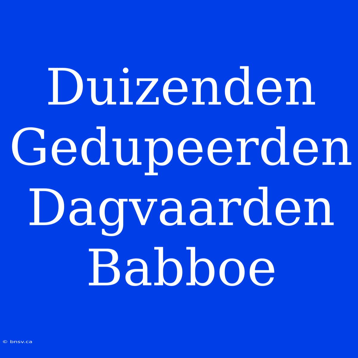 Duizenden Gedupeerden Dagvaarden Babboe