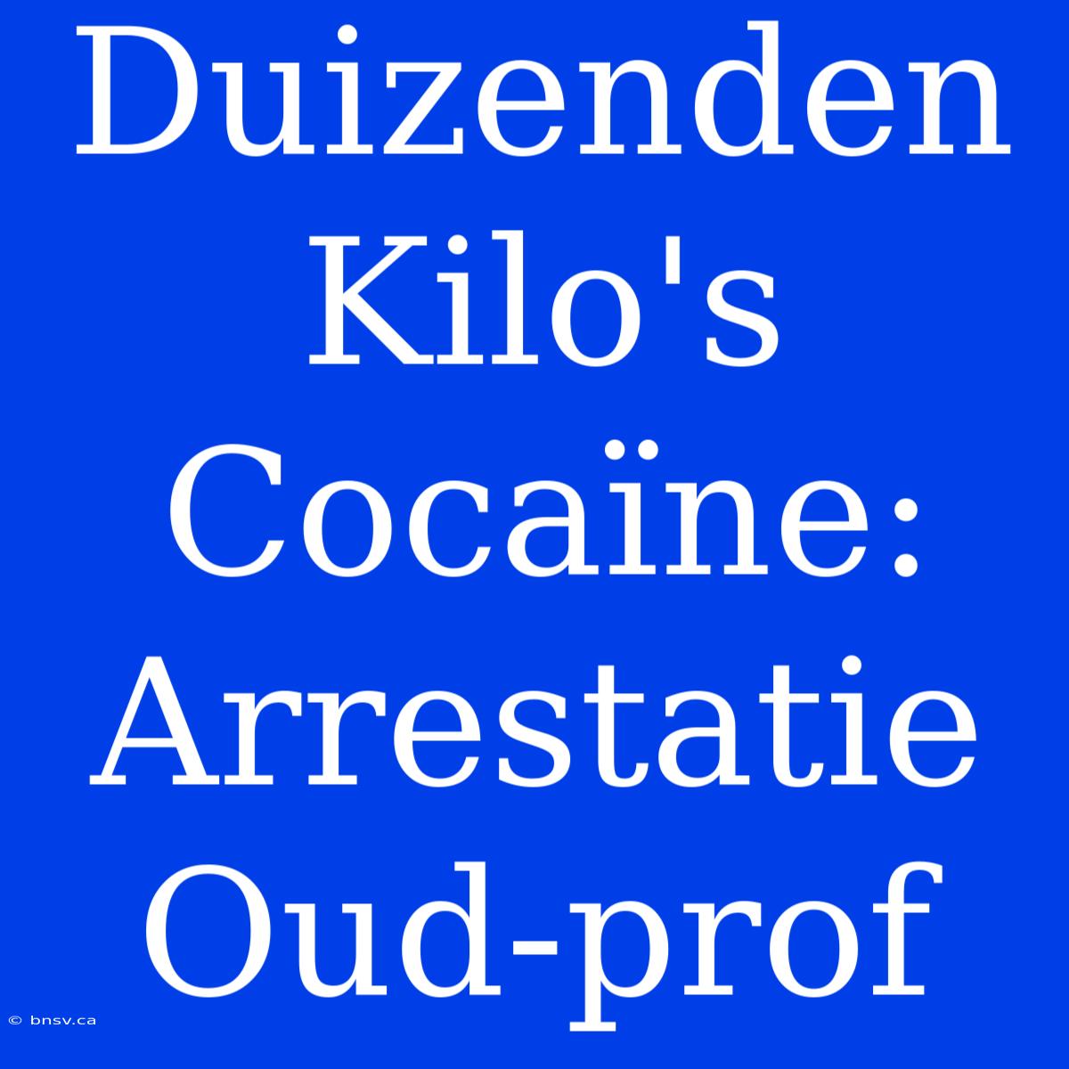 Duizenden Kilo's Cocaïne: Arrestatie Oud-prof