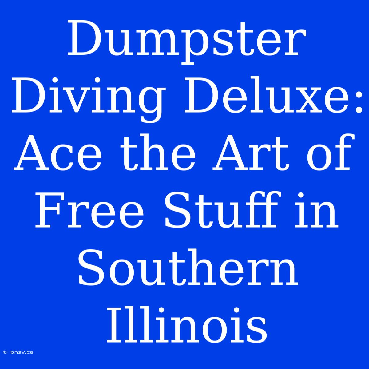 Dumpster Diving Deluxe: Ace The Art Of Free Stuff In Southern Illinois