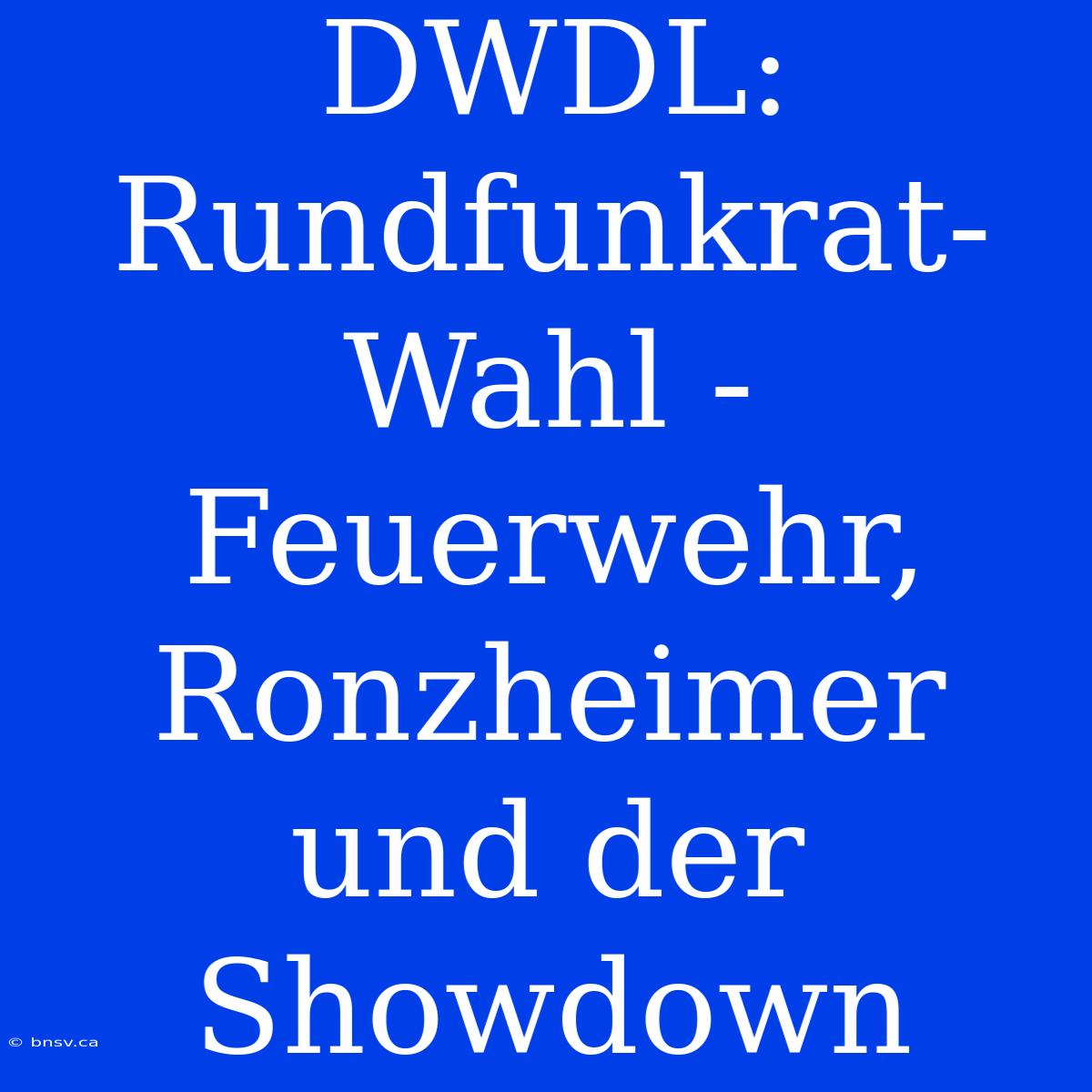 DWDL: Rundfunkrat-Wahl - Feuerwehr, Ronzheimer Und Der Showdown