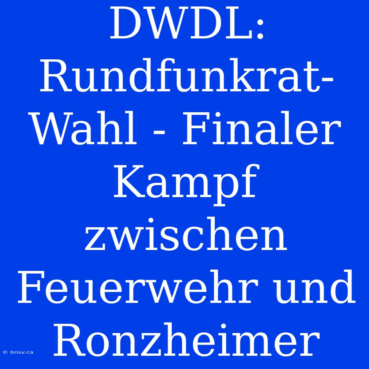 DWDL: Rundfunkrat-Wahl - Finaler Kampf Zwischen Feuerwehr Und Ronzheimer