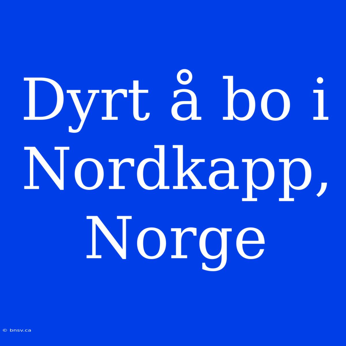 Dyrt Å Bo I Nordkapp, Norge