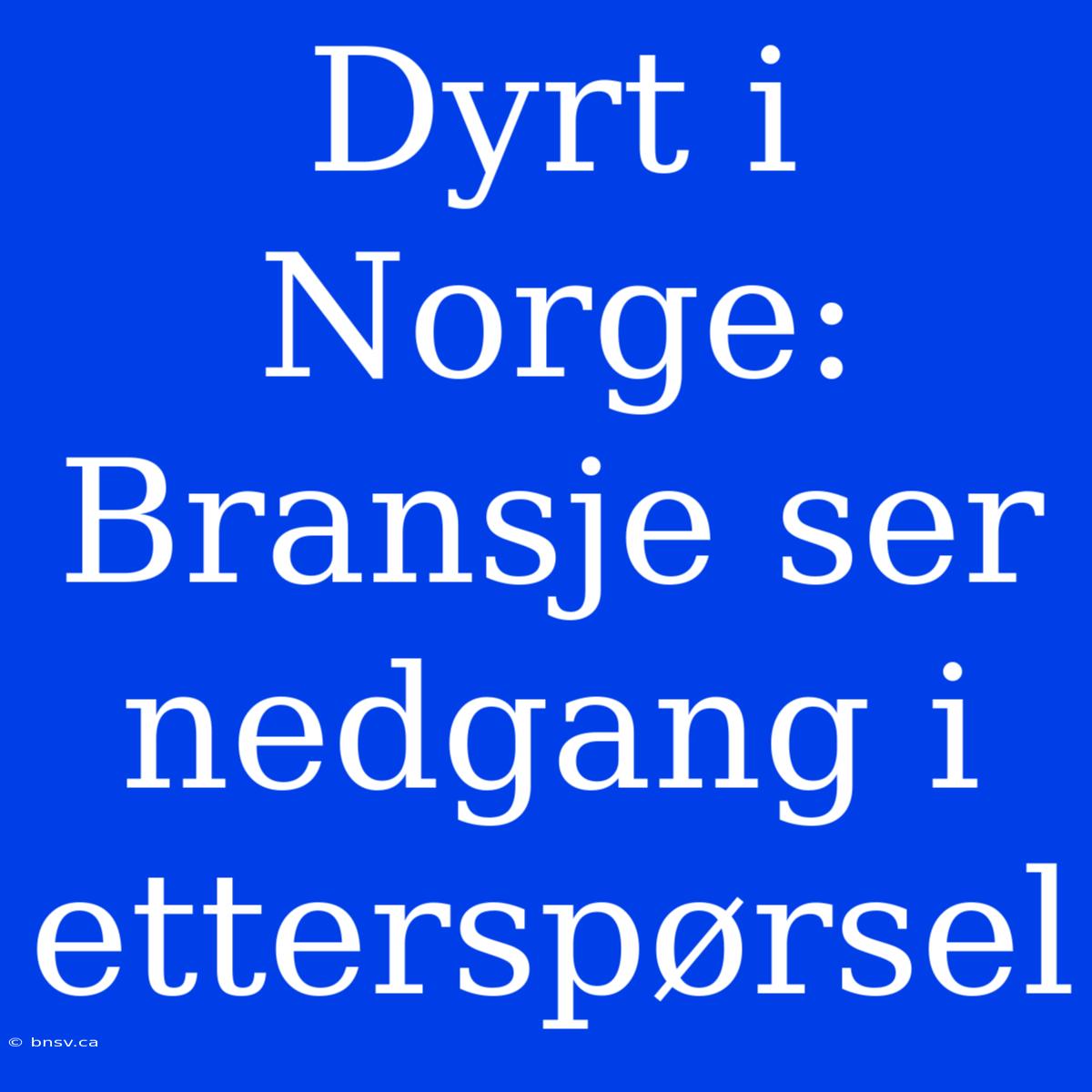 Dyrt I Norge:  Bransje Ser Nedgang I Etterspørsel