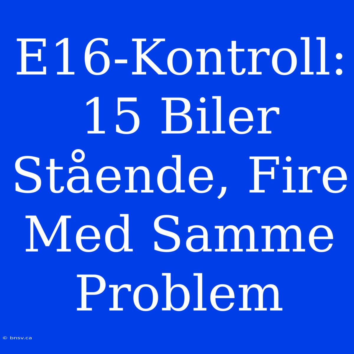 E16-Kontroll: 15 Biler Stående, Fire Med Samme Problem