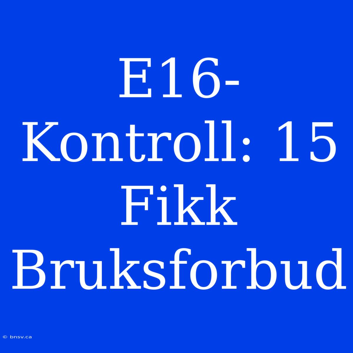 E16-Kontroll: 15 Fikk Bruksforbud