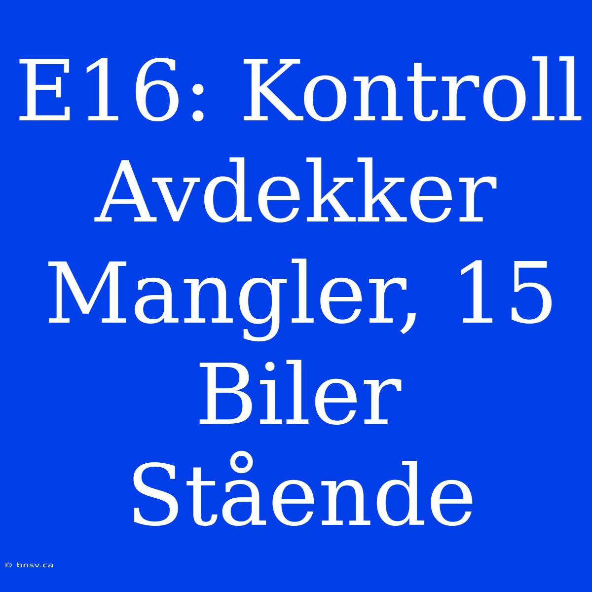 E16: Kontroll Avdekker Mangler, 15 Biler Stående