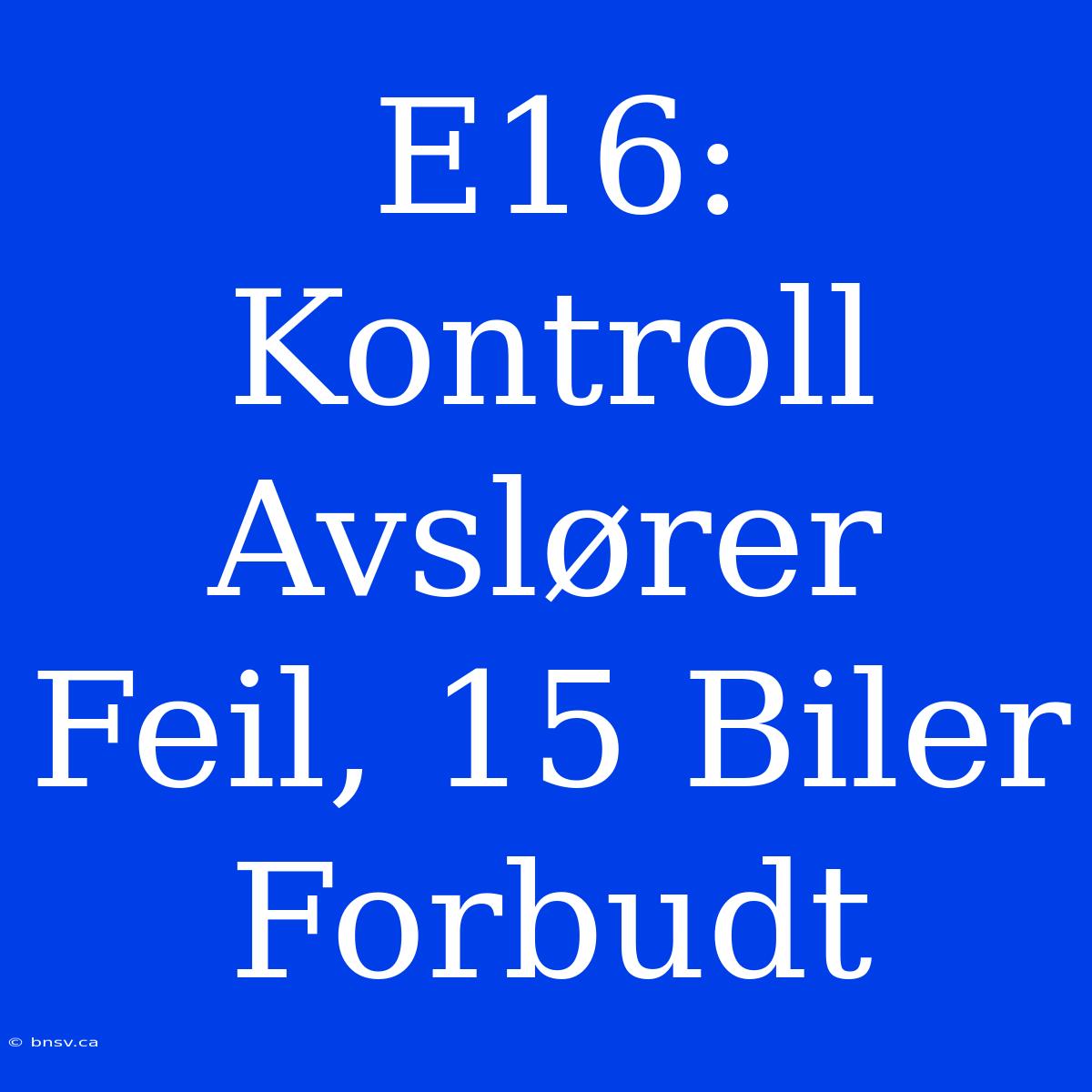 E16: Kontroll Avslører Feil, 15 Biler Forbudt