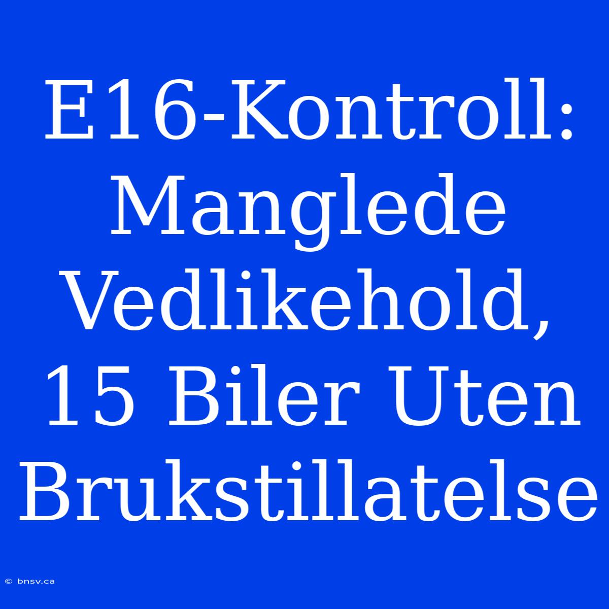 E16-Kontroll: Manglede Vedlikehold, 15 Biler Uten Brukstillatelse