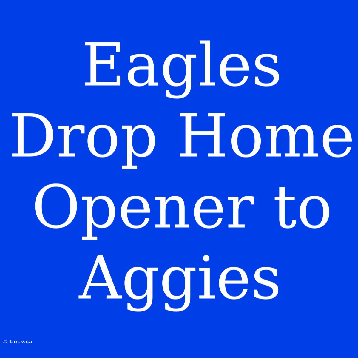 Eagles Drop Home Opener To Aggies