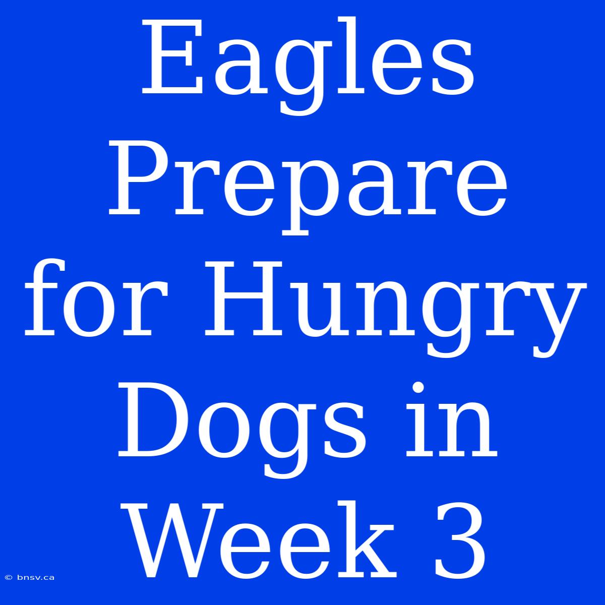 Eagles Prepare For Hungry Dogs In Week 3