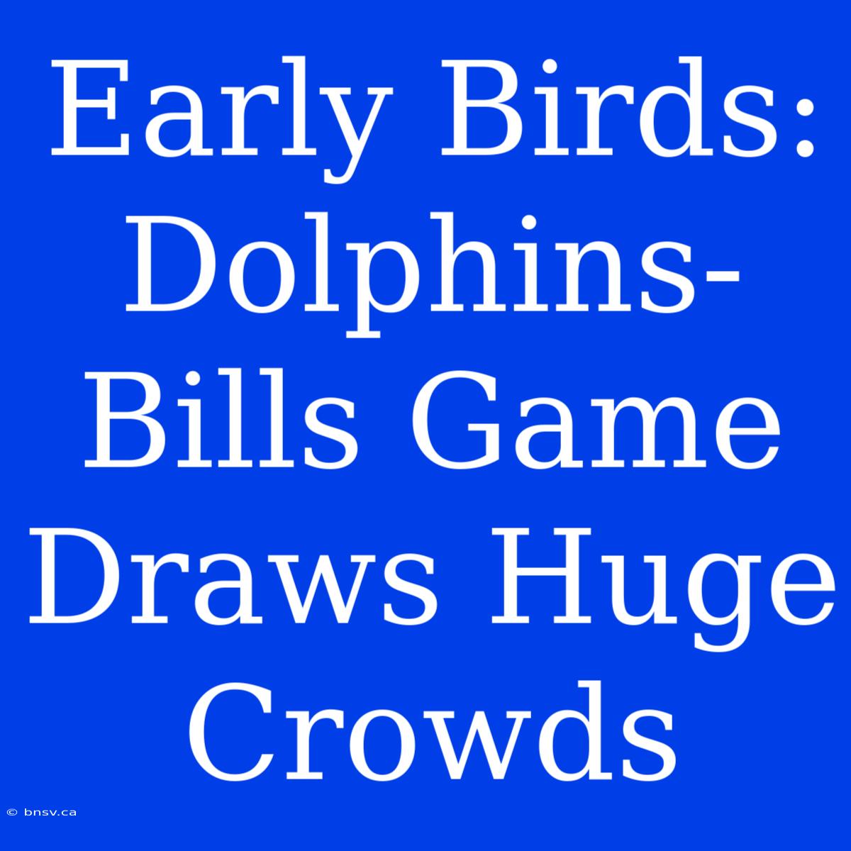 Early Birds: Dolphins-Bills Game Draws Huge Crowds