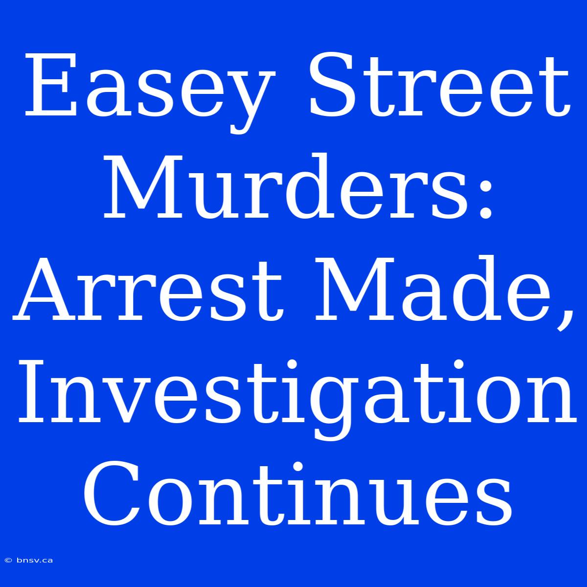 Easey Street Murders: Arrest Made, Investigation Continues