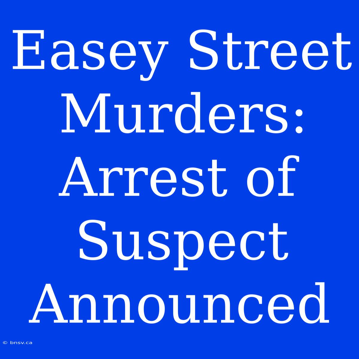 Easey Street Murders: Arrest Of Suspect Announced