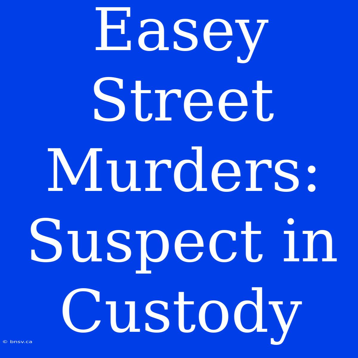 Easey Street Murders: Suspect In Custody