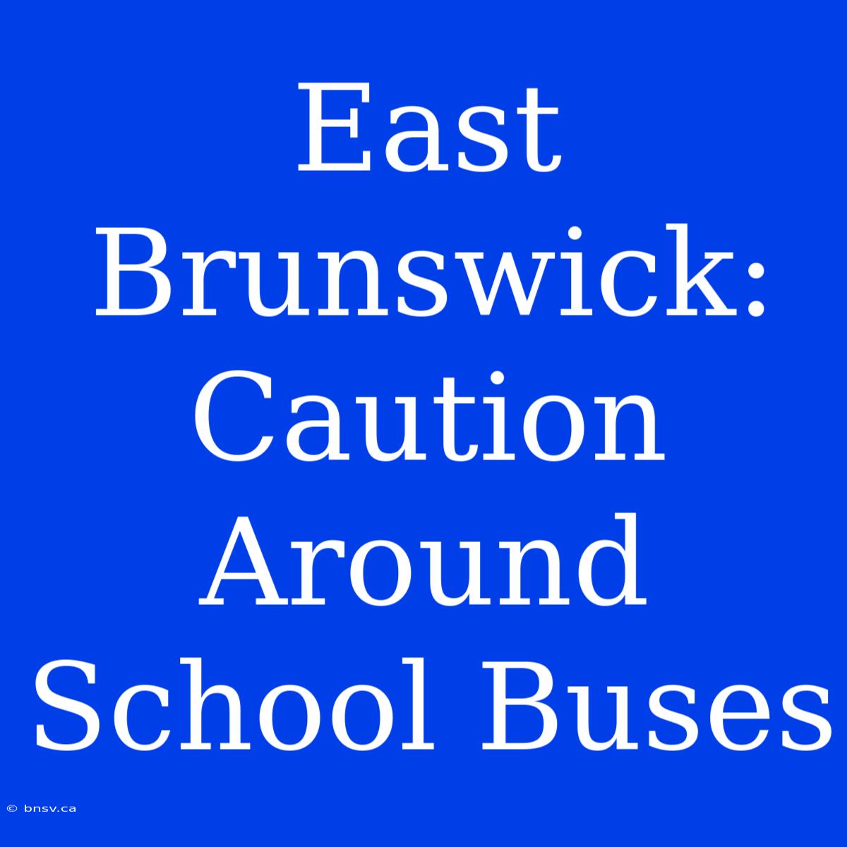 East Brunswick: Caution Around School Buses