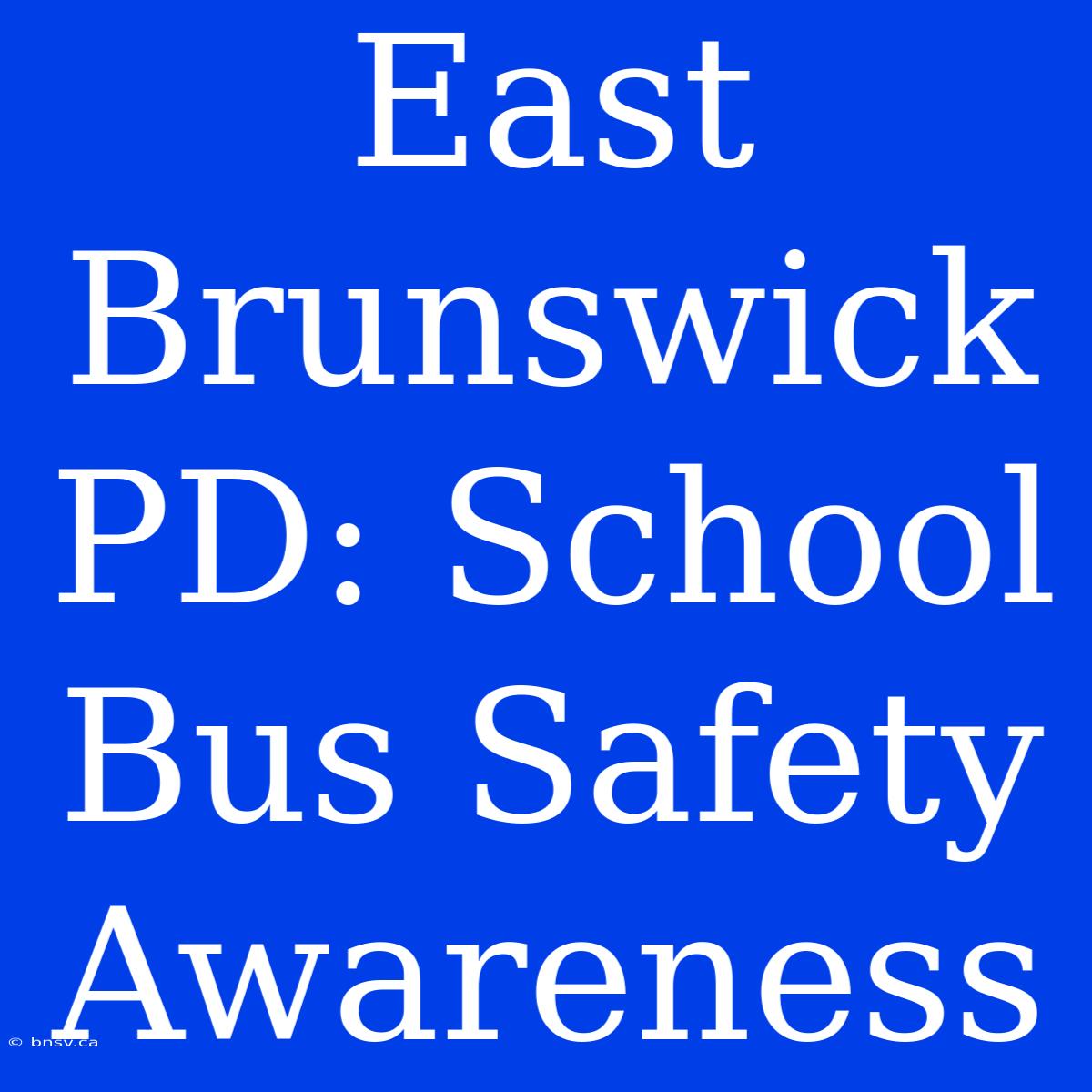 East Brunswick PD: School Bus Safety Awareness