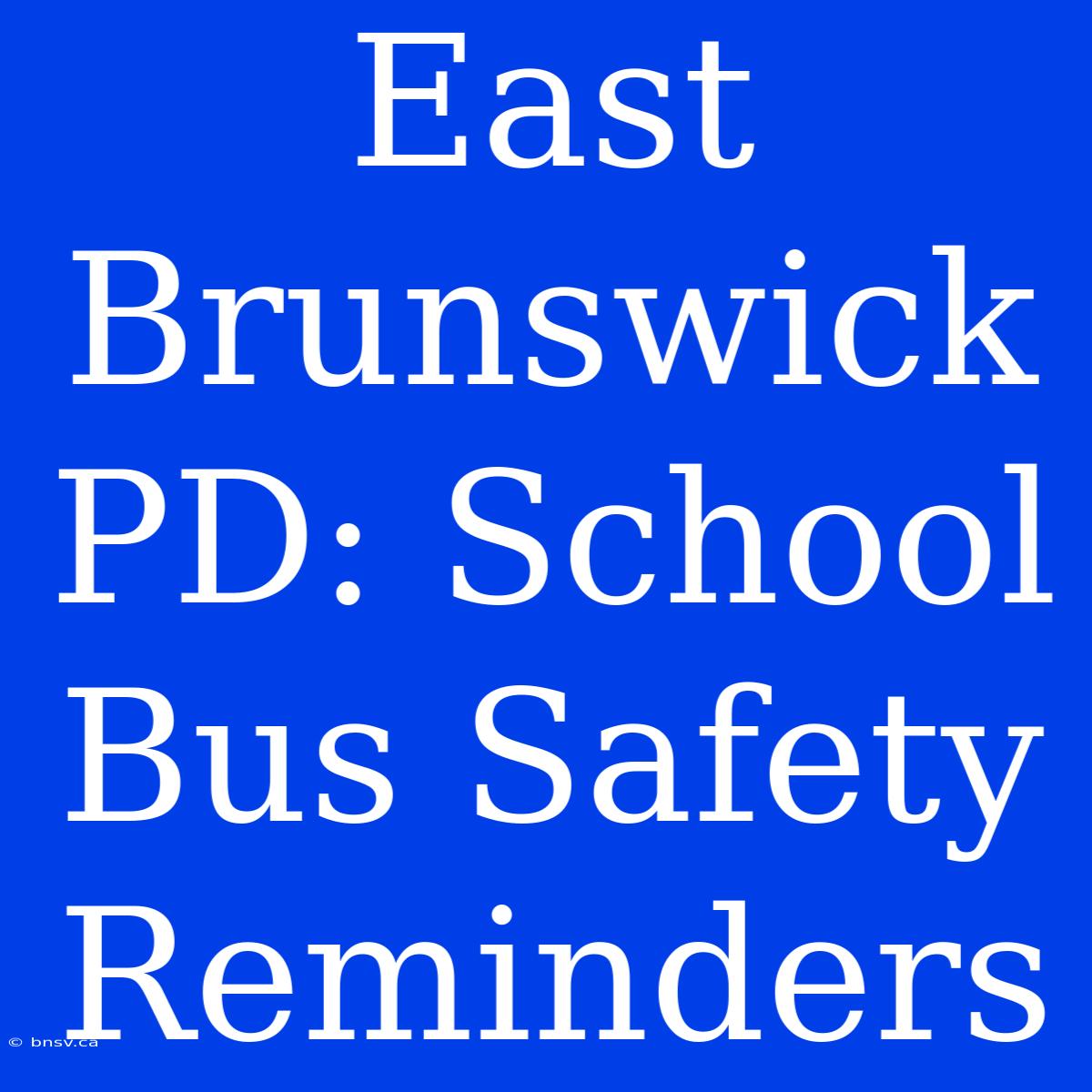 East Brunswick PD: School Bus Safety Reminders