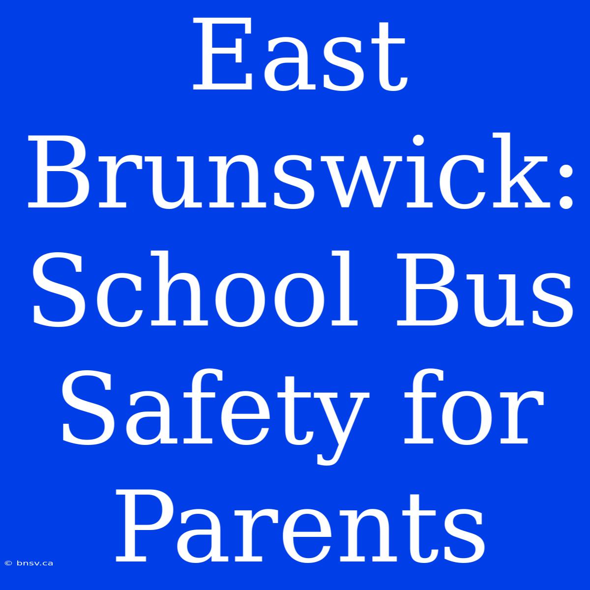 East Brunswick: School Bus Safety For Parents