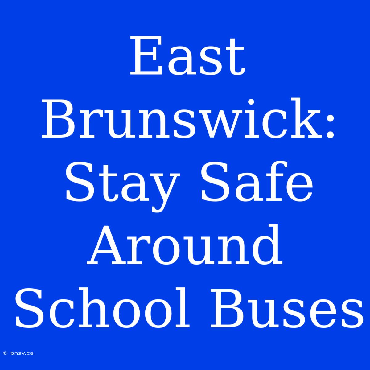 East Brunswick: Stay Safe Around School Buses