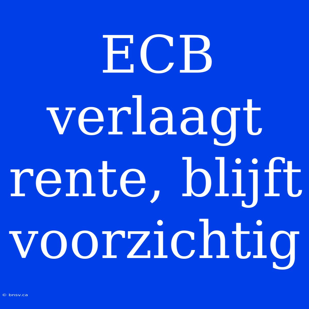 ECB Verlaagt Rente, Blijft Voorzichtig