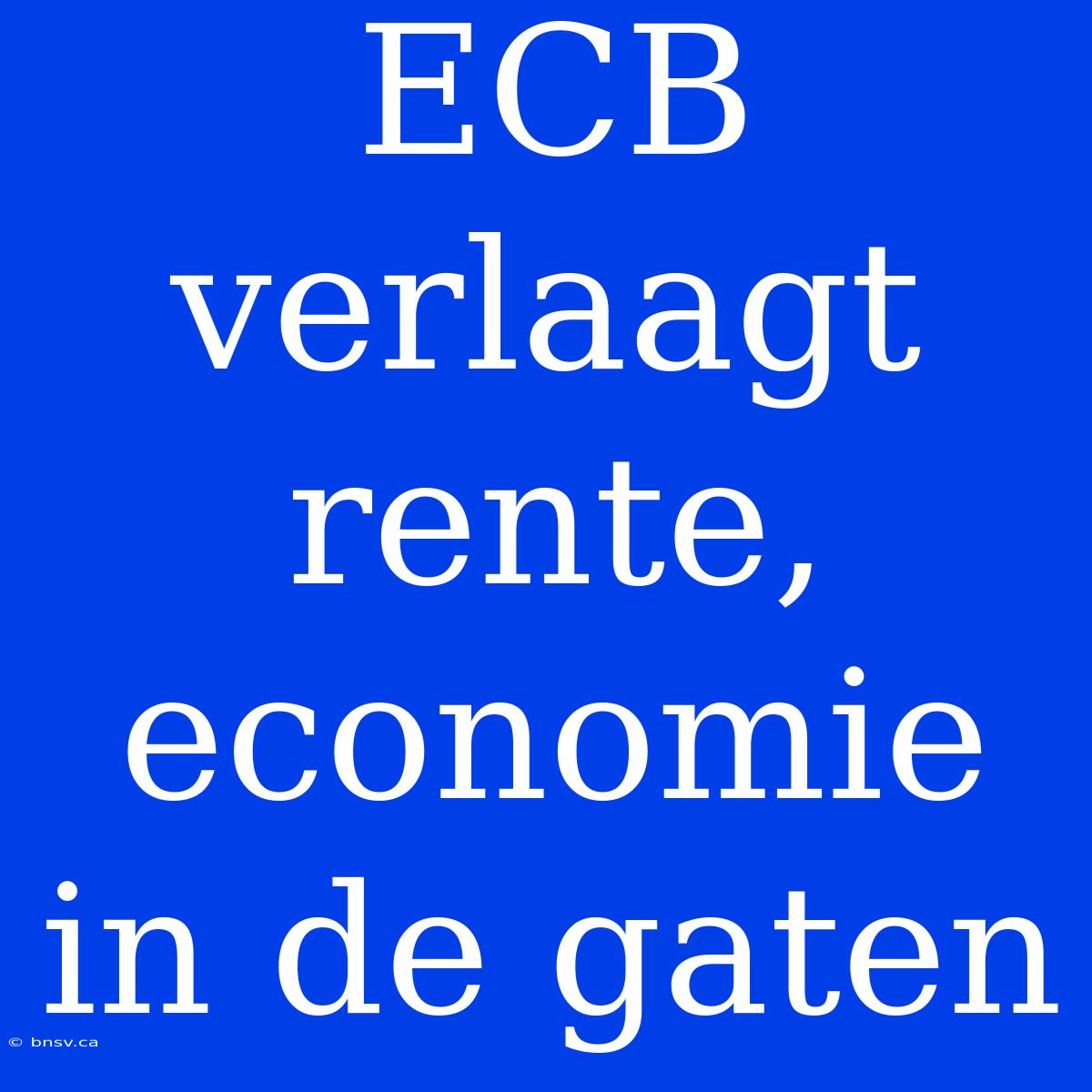 ECB Verlaagt Rente, Economie In De Gaten