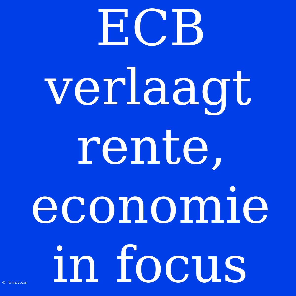 ECB Verlaagt Rente, Economie In Focus