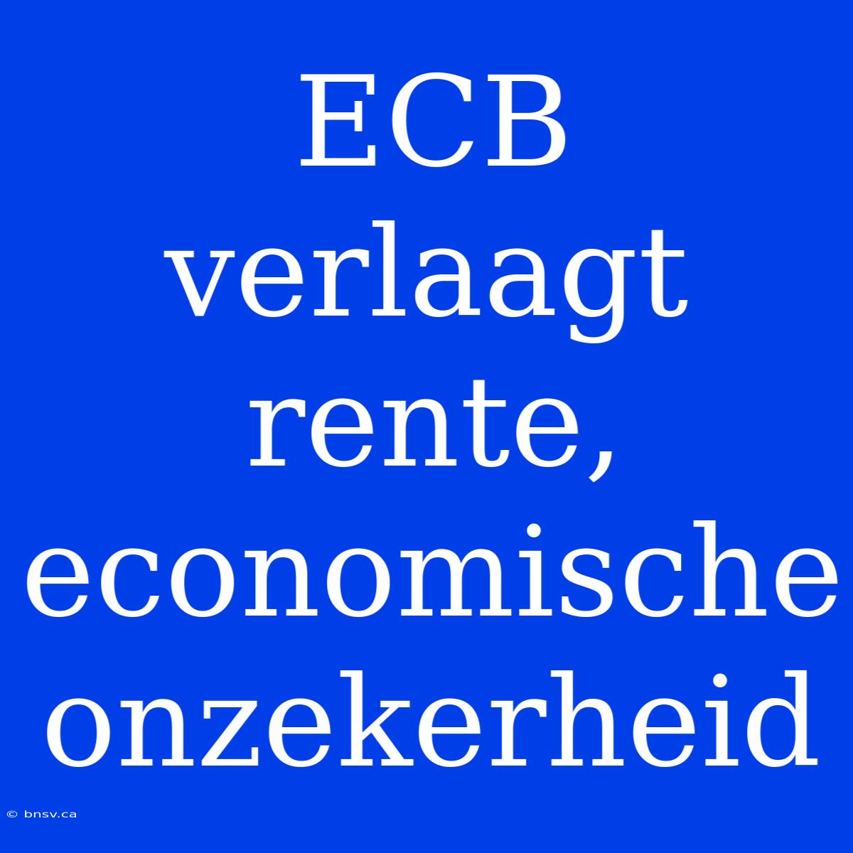 ECB Verlaagt Rente, Economische Onzekerheid