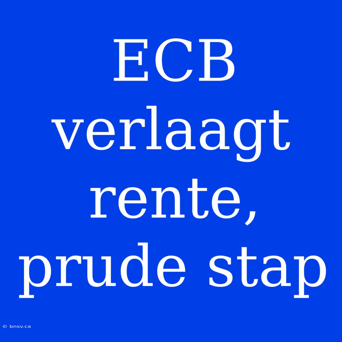 ECB Verlaagt Rente, Prude Stap