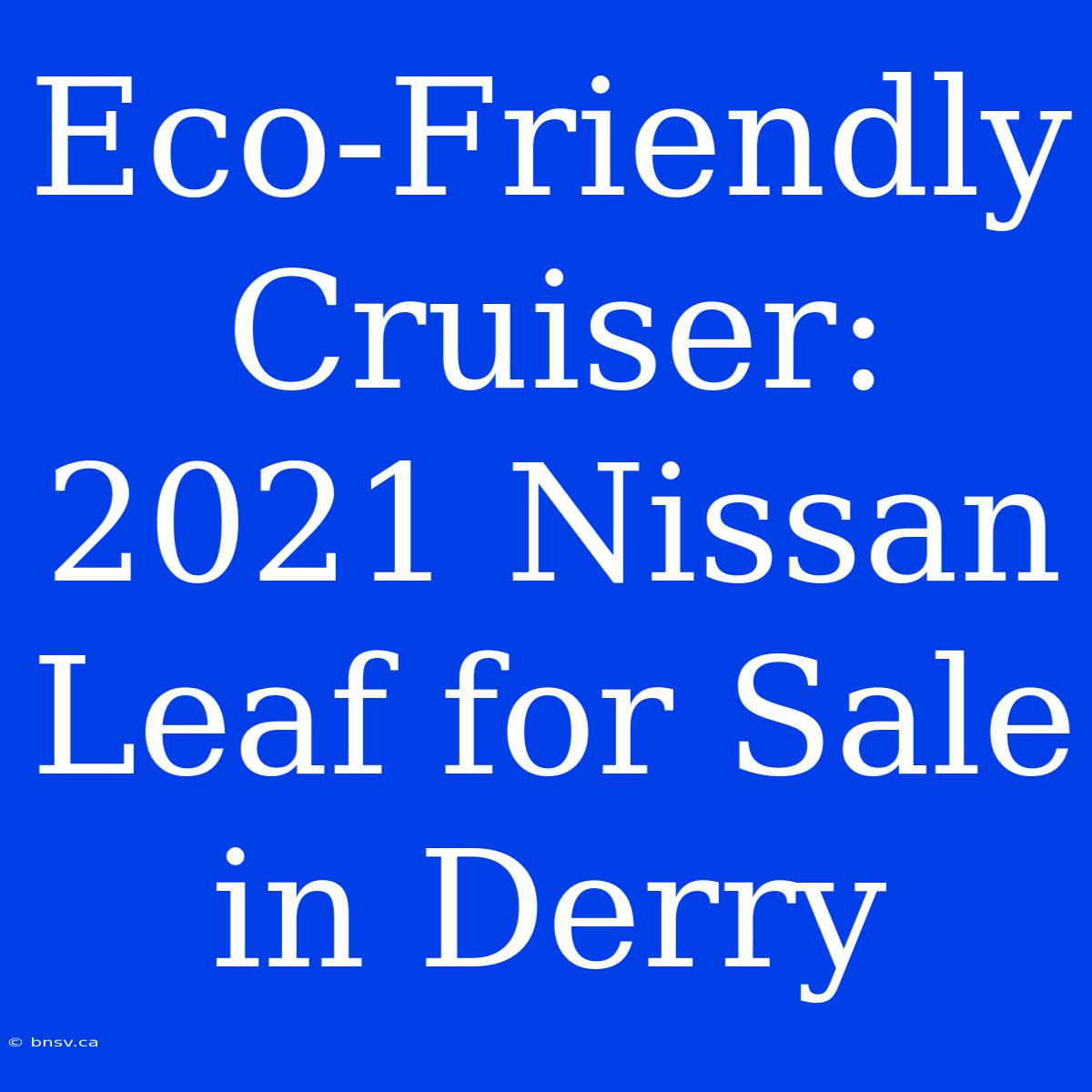 Eco-Friendly Cruiser: 2021 Nissan Leaf For Sale In Derry