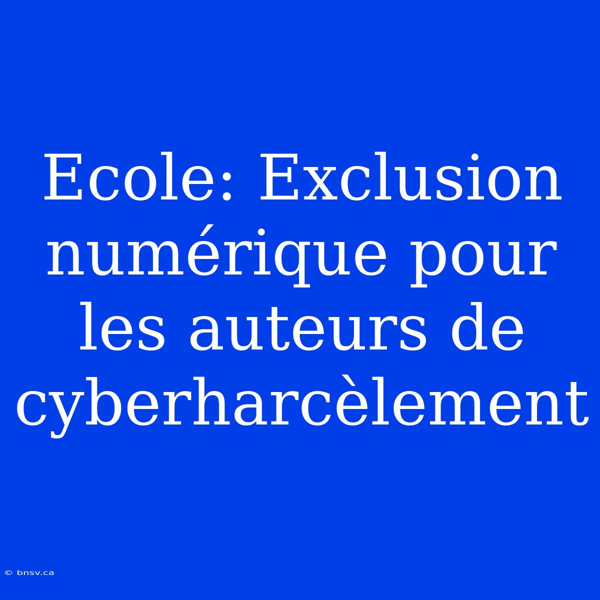 Ecole: Exclusion Numérique Pour Les Auteurs De Cyberharcèlement