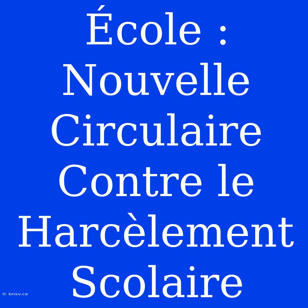 École : Nouvelle Circulaire Contre Le Harcèlement Scolaire