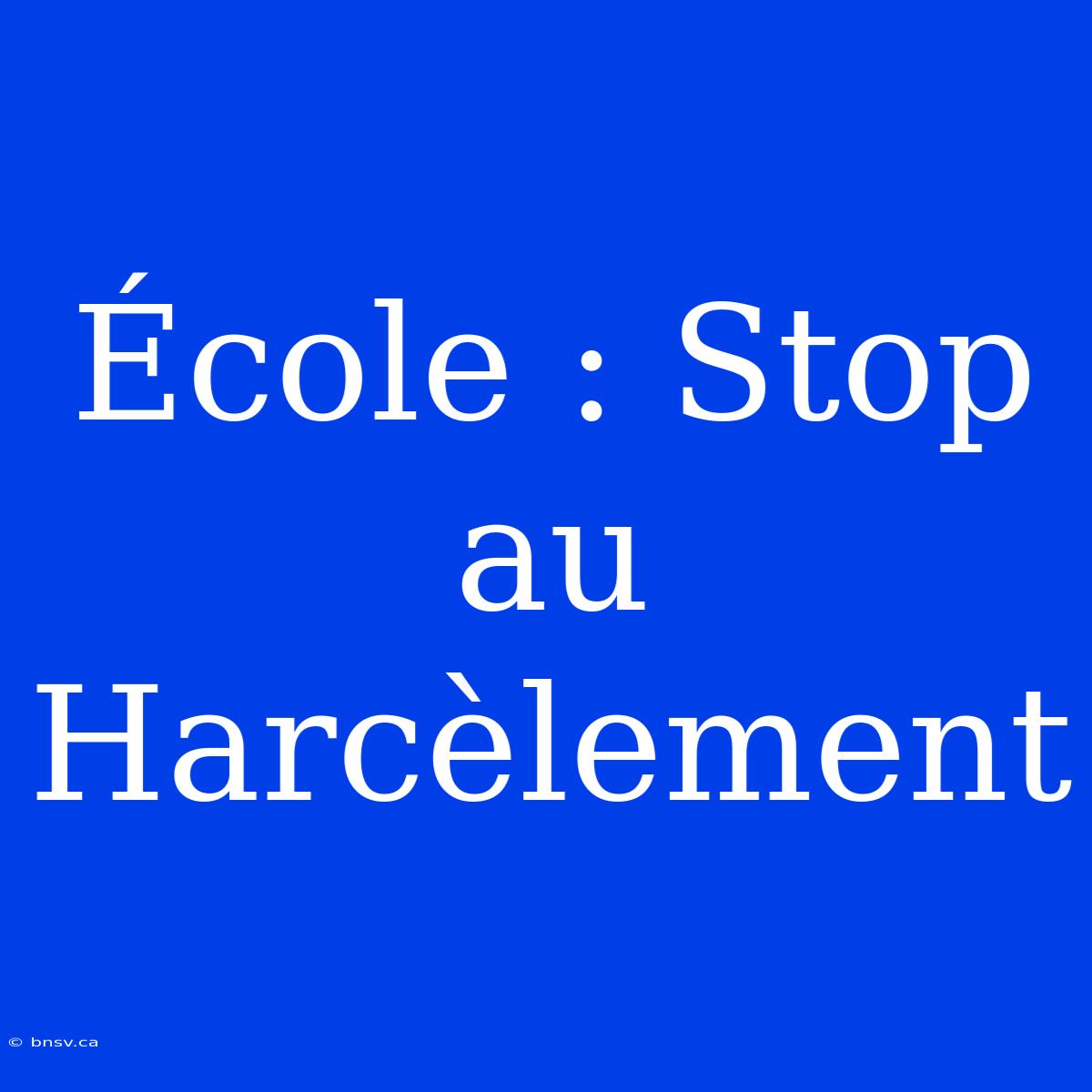 École : Stop Au Harcèlement