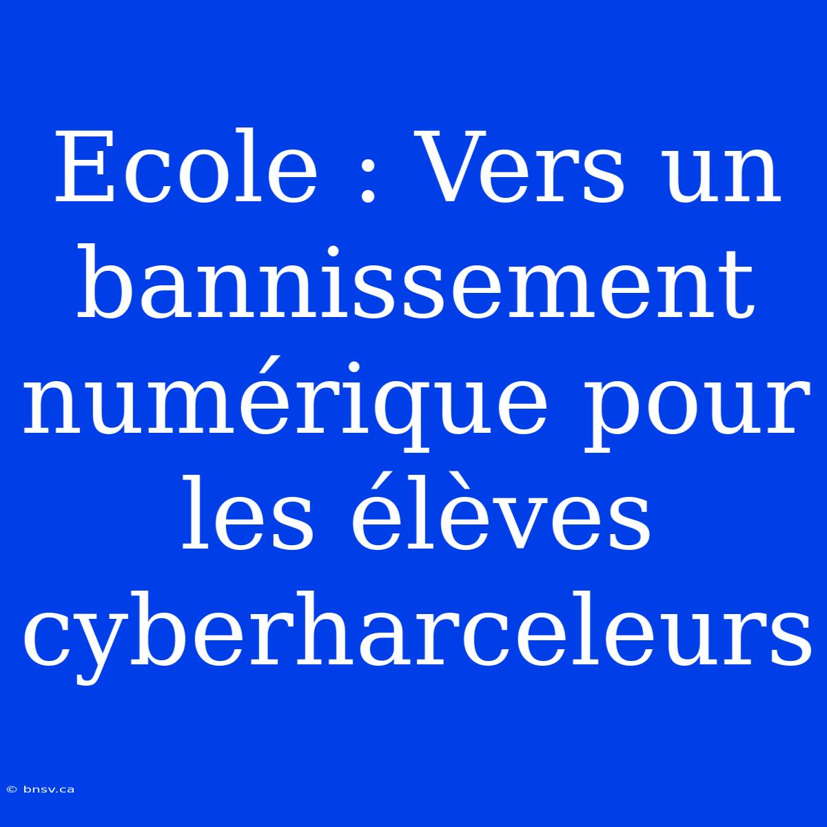 Ecole : Vers Un Bannissement Numérique Pour Les Élèves Cyberharceleurs