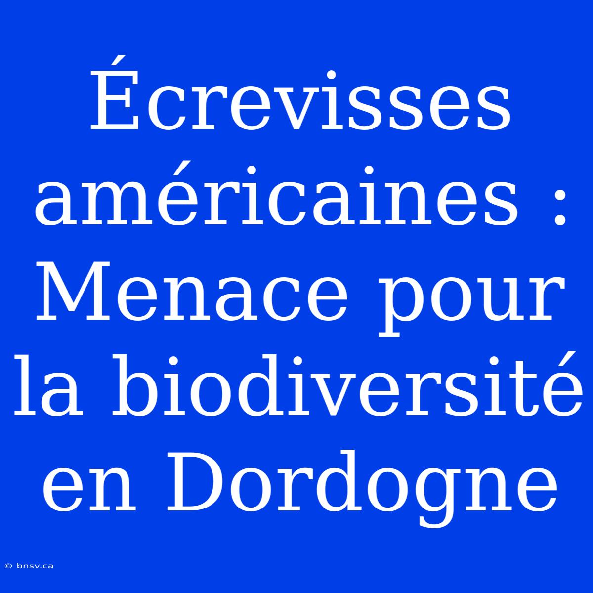 Écrevisses Américaines : Menace Pour La Biodiversité En Dordogne