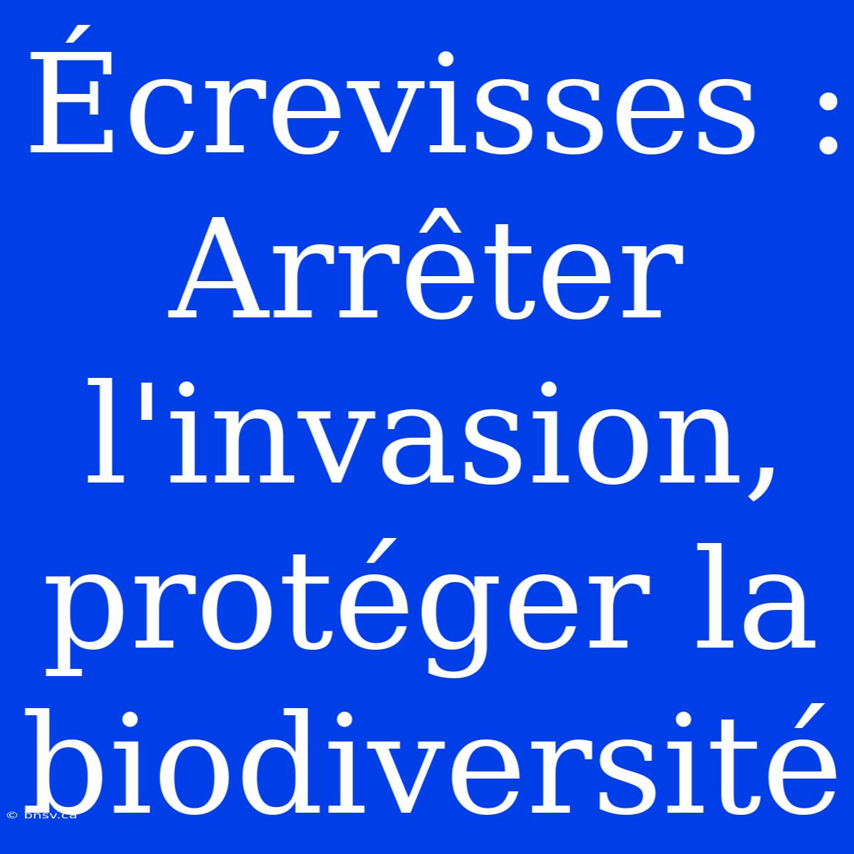 Écrevisses : Arrêter L'invasion, Protéger La Biodiversité