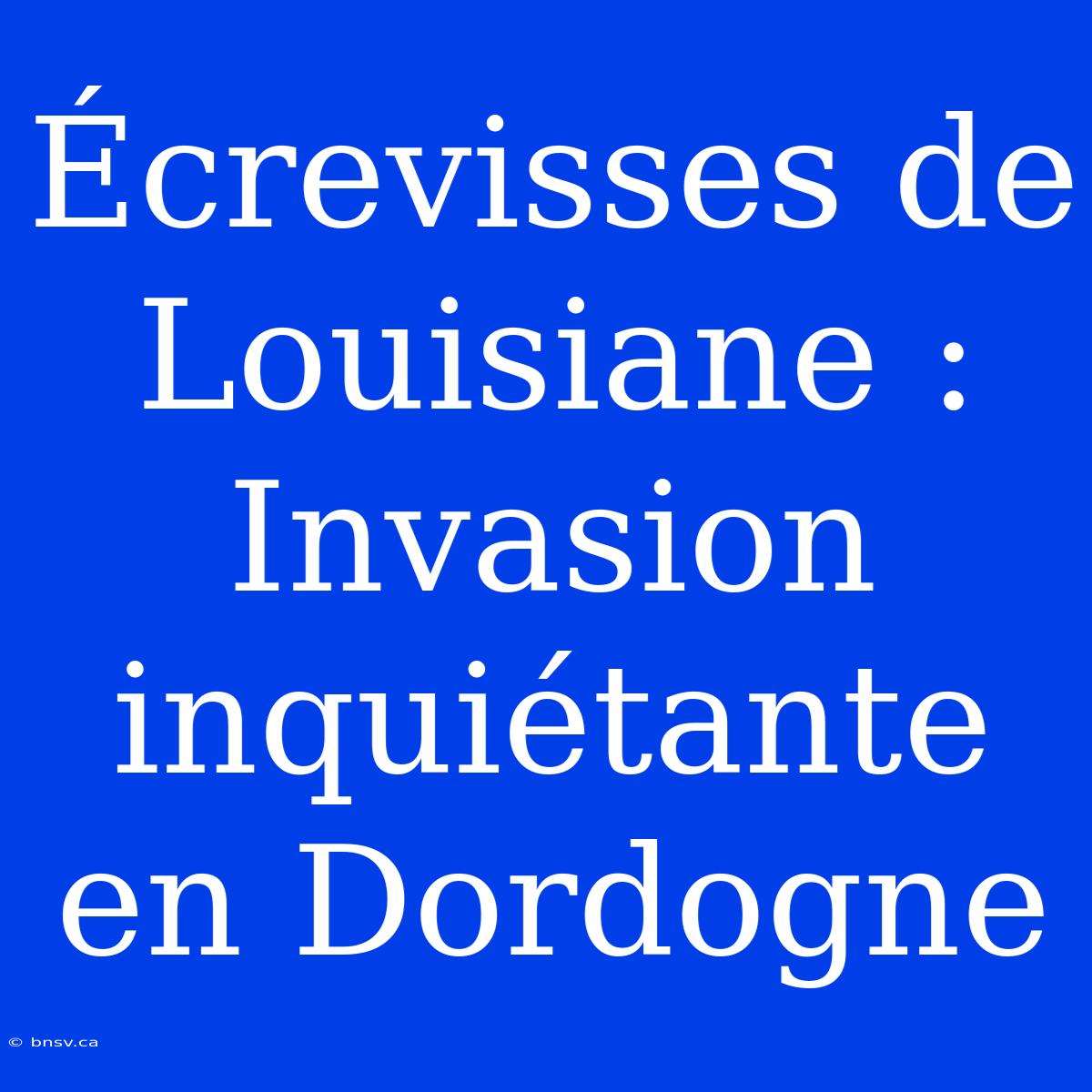 Écrevisses De Louisiane : Invasion Inquiétante En Dordogne