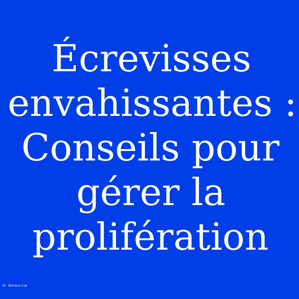 Écrevisses Envahissantes : Conseils Pour Gérer La Prolifération