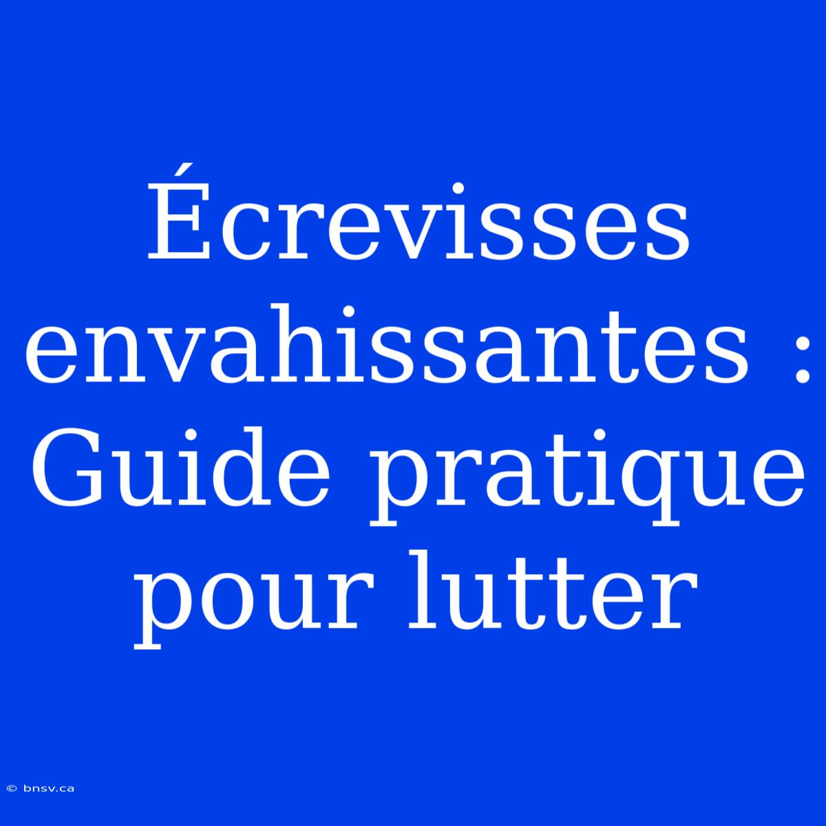 Écrevisses Envahissantes : Guide Pratique Pour Lutter